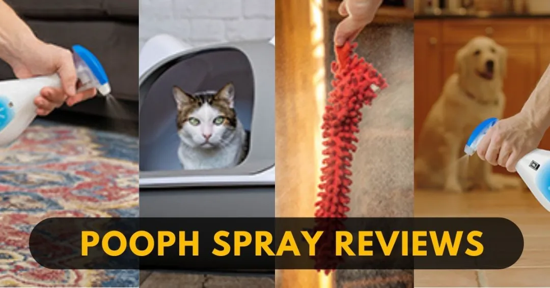 You are currently viewing Pooph Reviews: Say Goodbye to Bad Odors with Pooph Spray